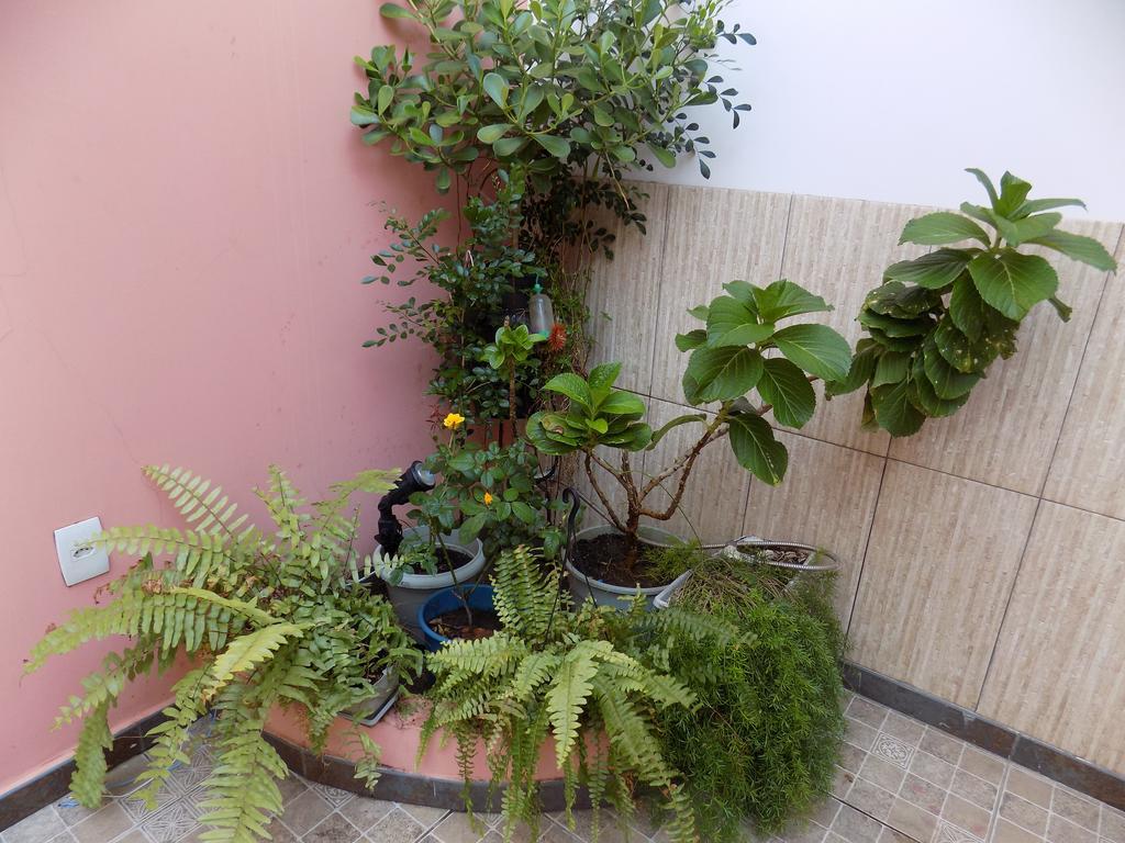 Albergue Rio Vermelho ซัลวาดอร์ ภายนอก รูปภาพ